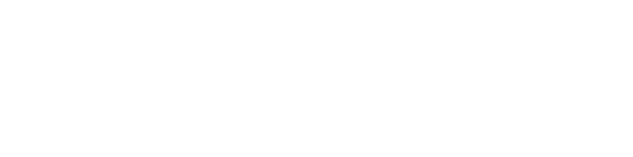 لَبيب